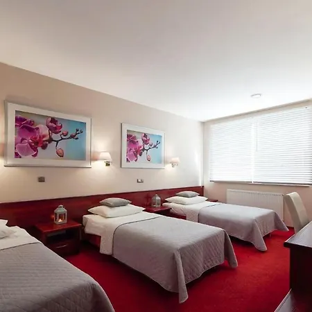 Hotel Sara Kolo (Greater Poland)