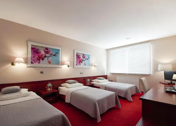 Hotel Sara Kolo (Greater Poland)